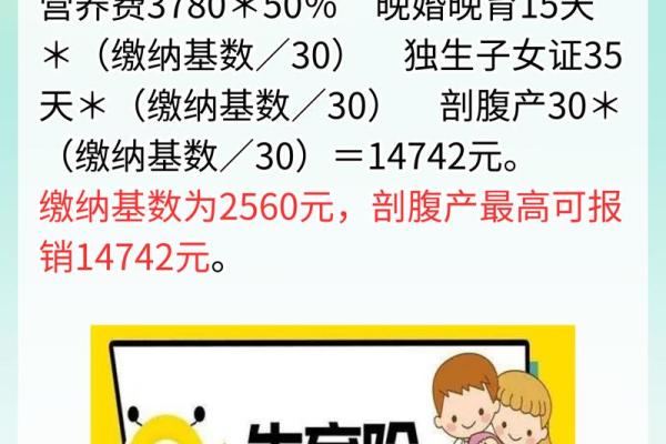 面解体验指南析pc28好B便捷预订全官网畅享旅行使用